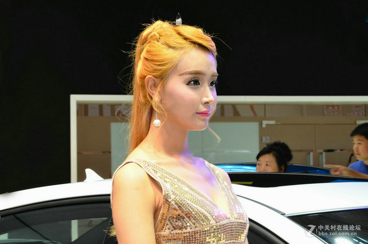2016第十三届中国长春国际汽车博览会模特