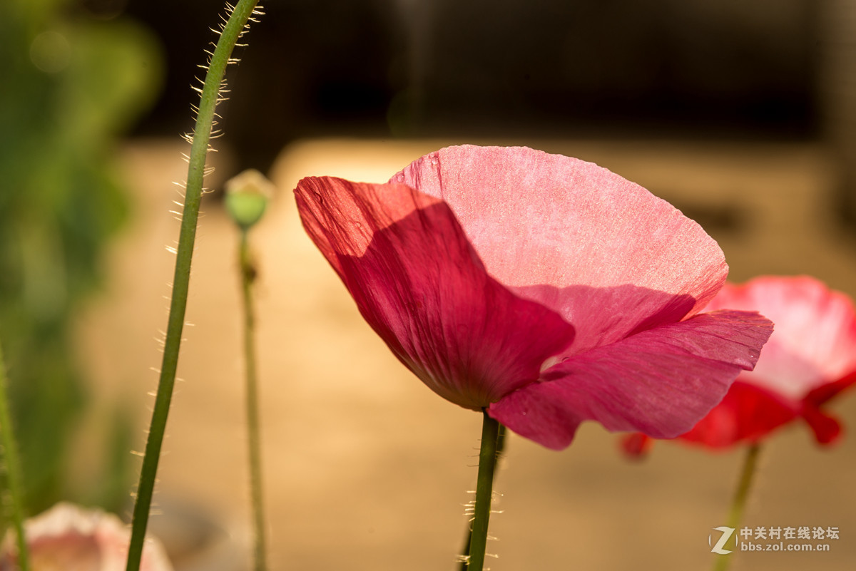 《D610星空(中国)2016年8月精选作品展示》
