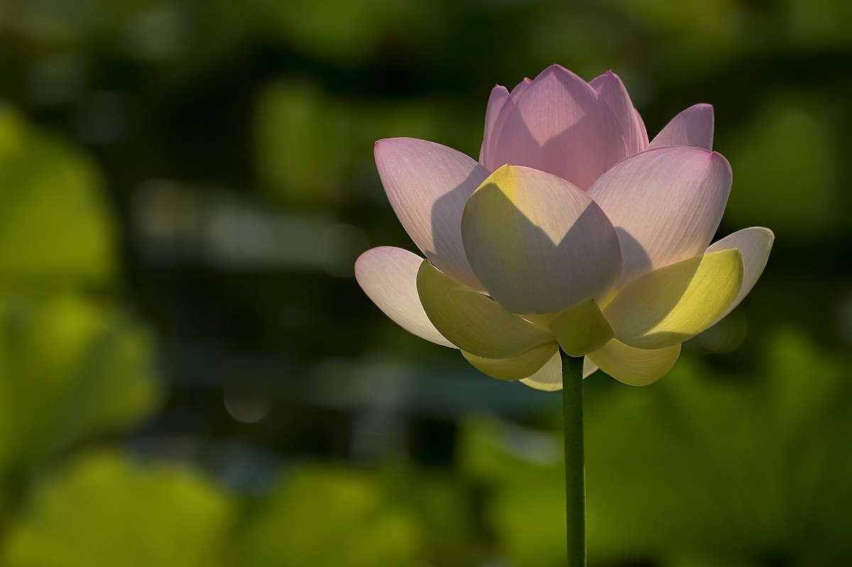 《D610星空(中国)2016年8月精选作品展示》