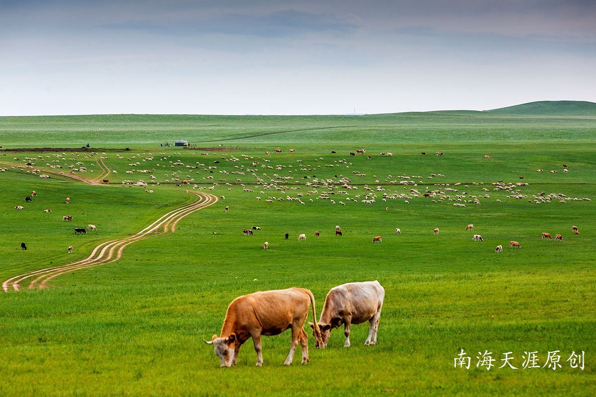 夏日的克什克腾旗系列三---草原深处