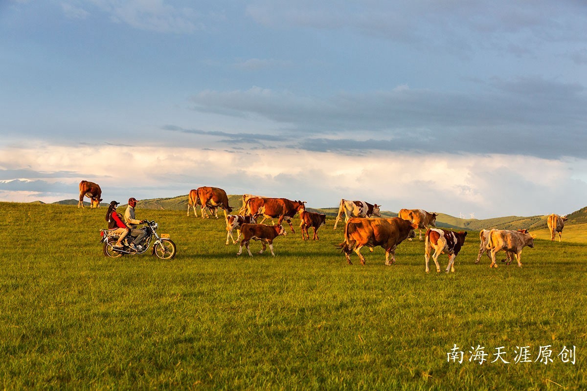 夏日的克什克腾旗系列三---草原深处