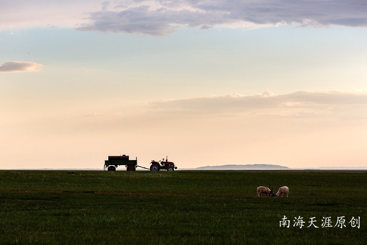 夏日的克什克腾旗系列三---草原深处