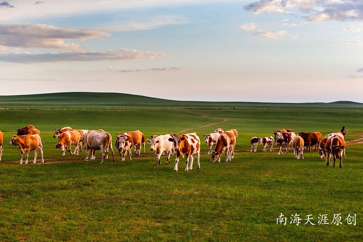 夏日的克什克腾旗系列三---草原深处