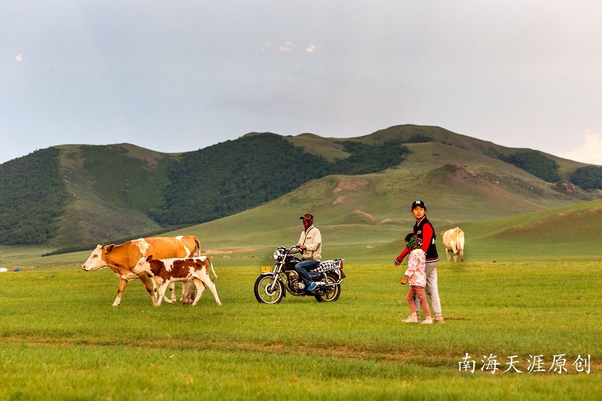 夏日的克什克腾旗系列三---草原深处