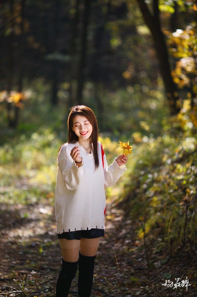 醉枫绵绵——杨最醉