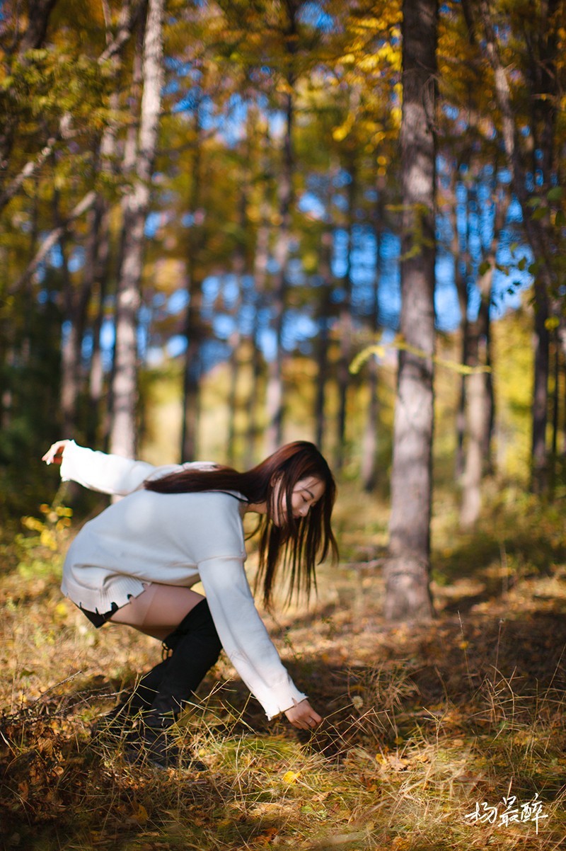 醉枫绵绵——杨最醉