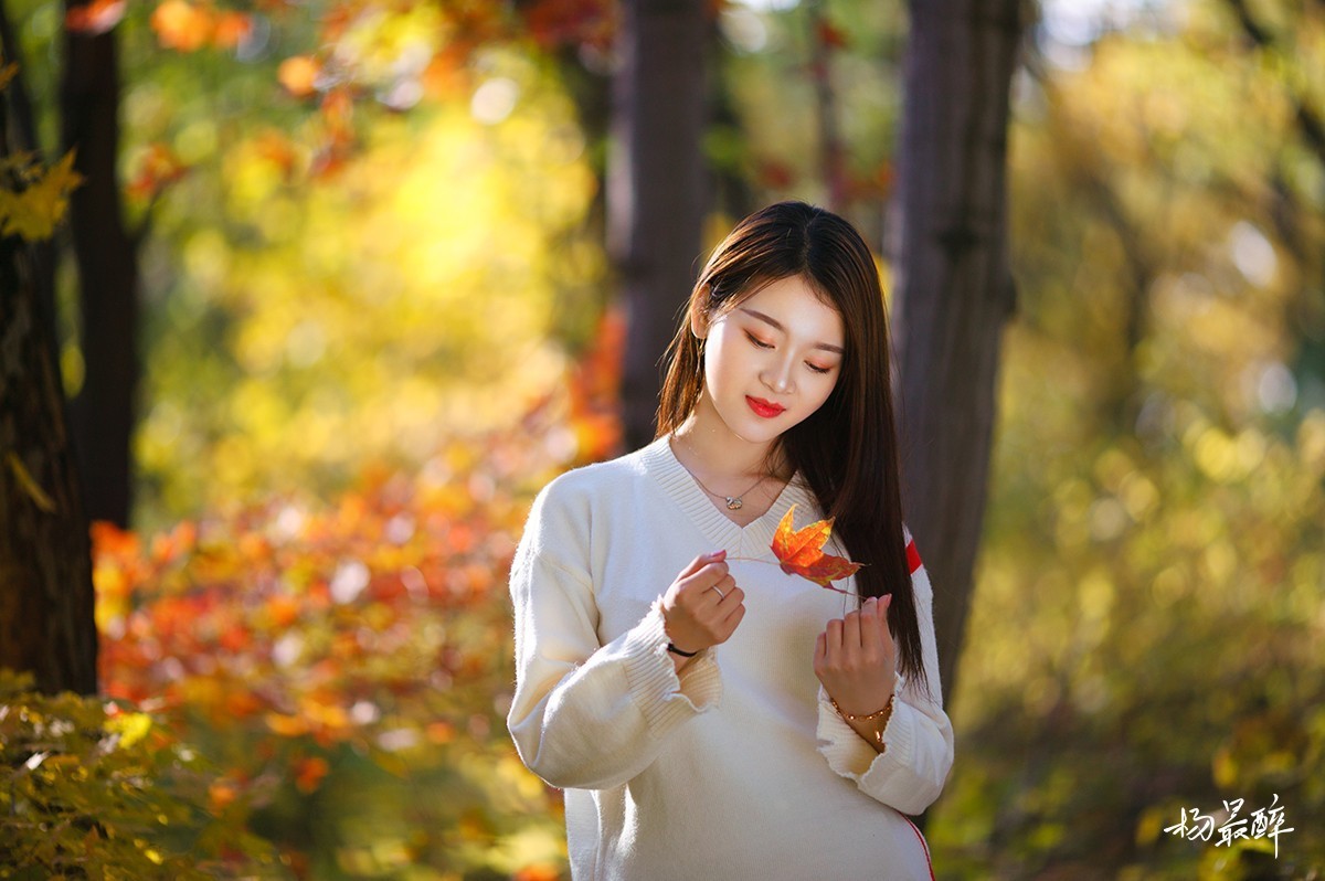 醉枫绵绵——杨最醉