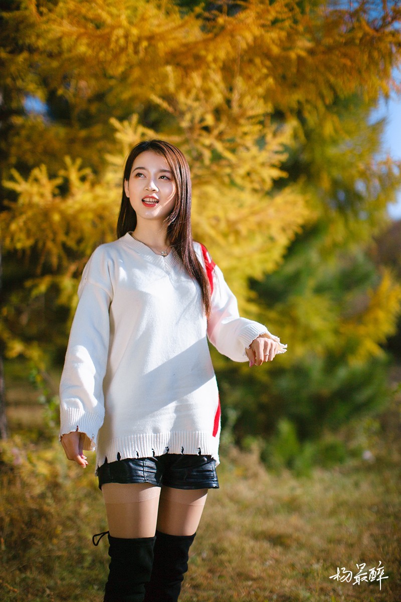 醉枫绵绵——杨最醉