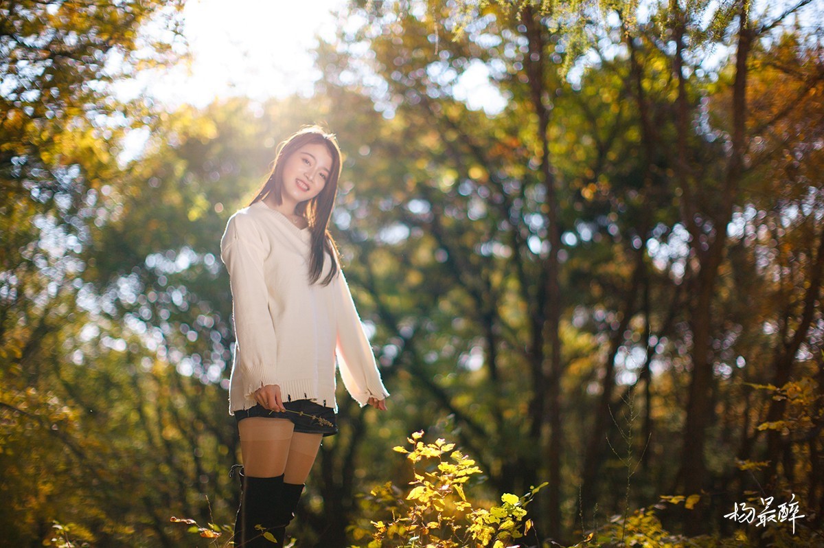 醉枫绵绵——杨最醉