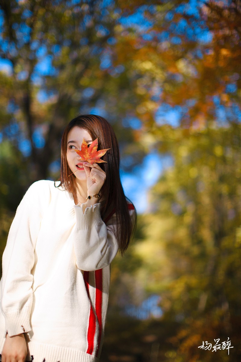 醉枫绵绵——杨最醉