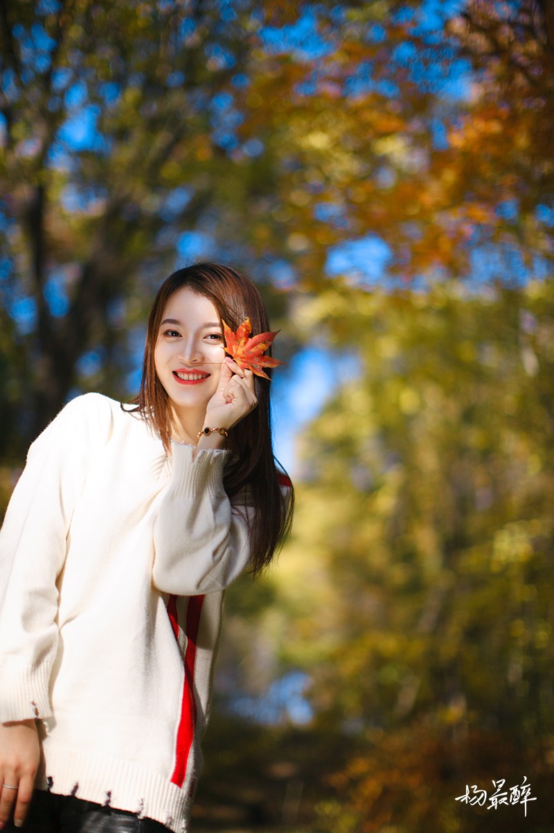 醉枫绵绵——杨最醉