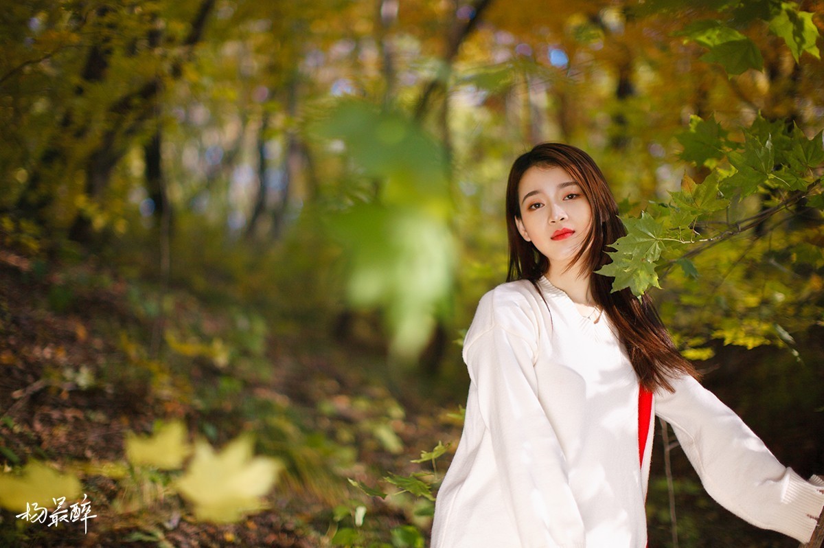 醉枫绵绵——杨最醉