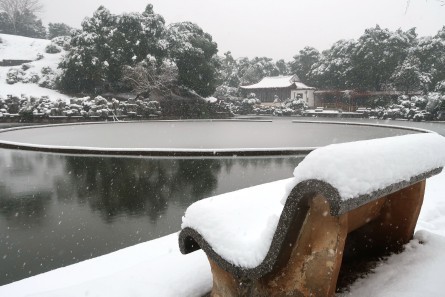 佳能G7xmark2拍雪景