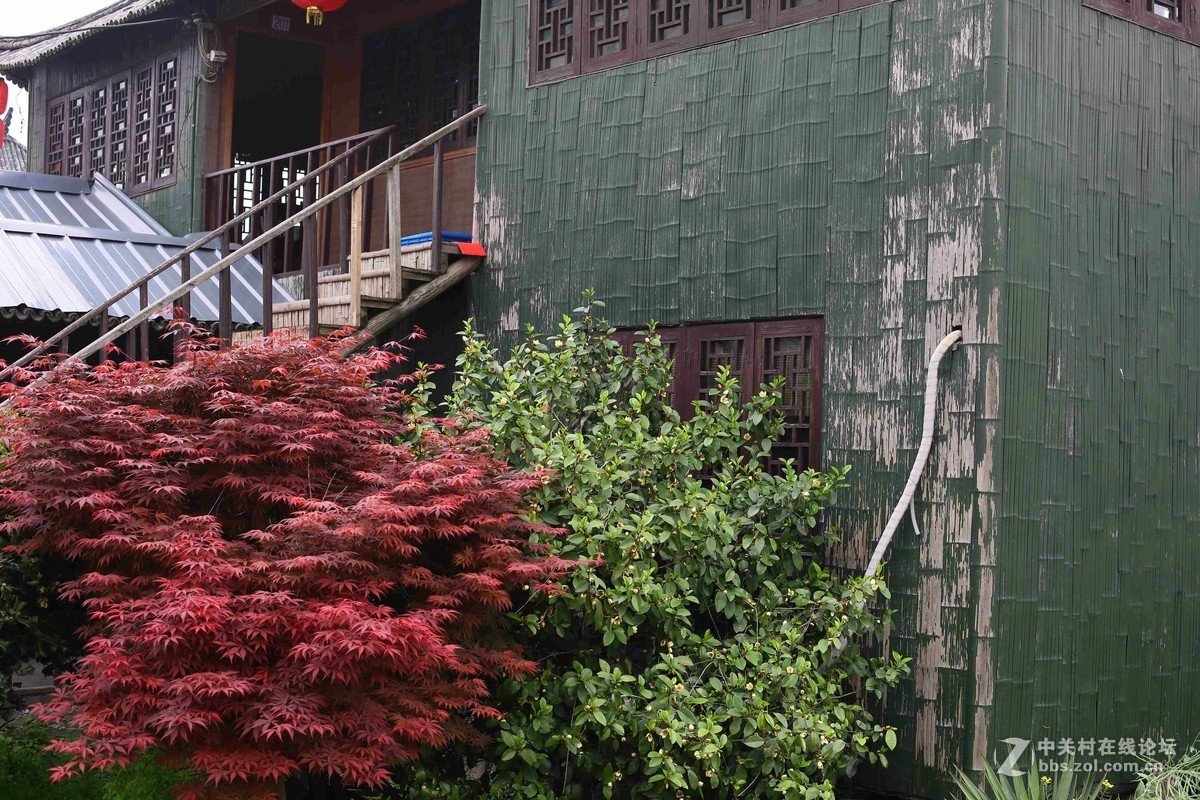 阴雨轻雾江南原野