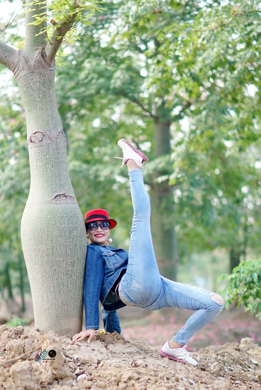 [ 异木棉树下好心情 ]------高妹