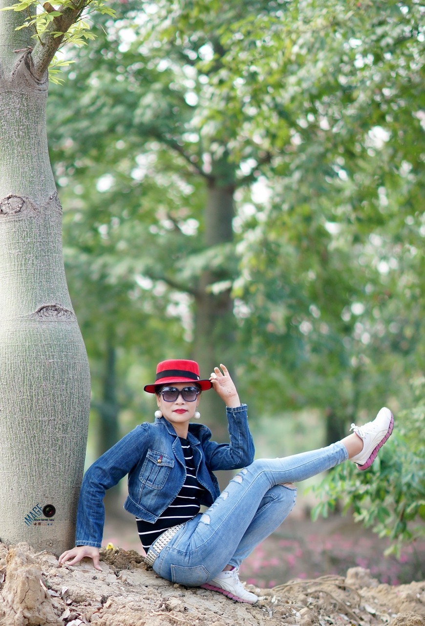 [ 异木棉树下好心情 ]------高妹