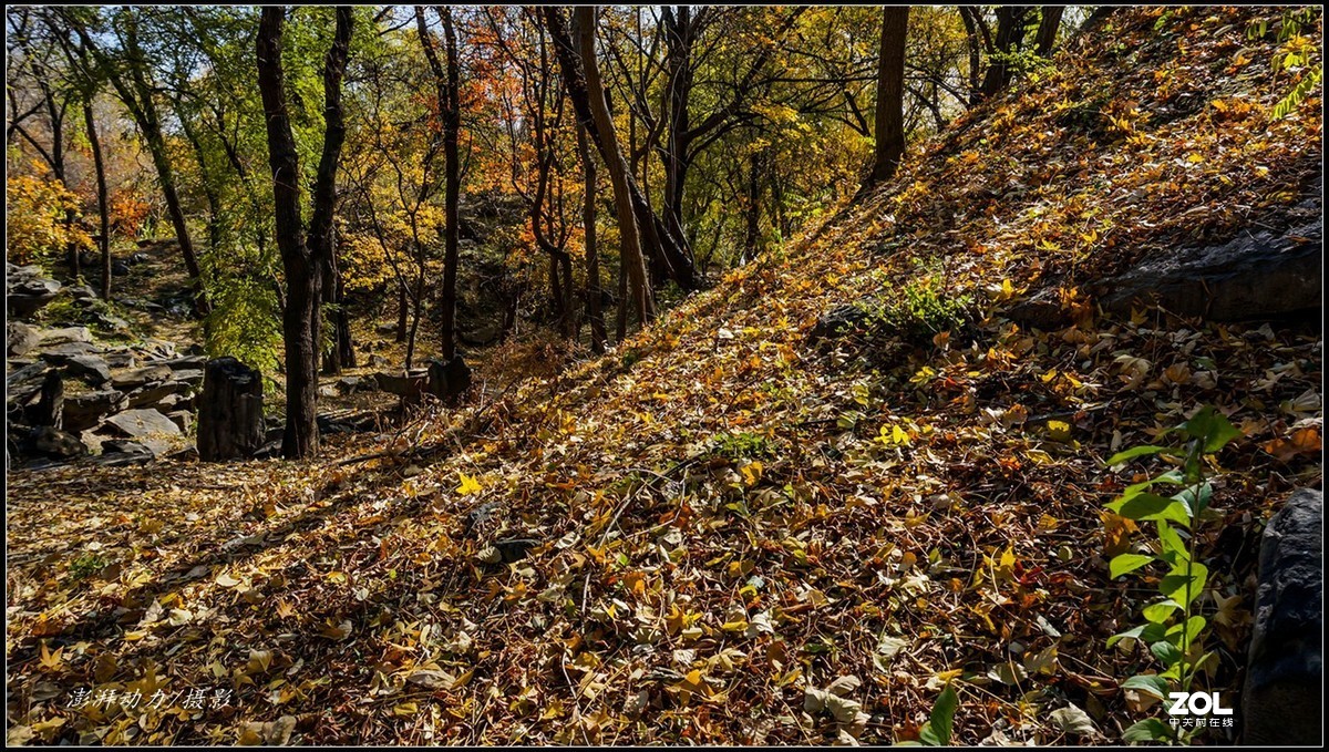 #ZOL月赛晒秋# 金色圆明园之浓墨重彩 二