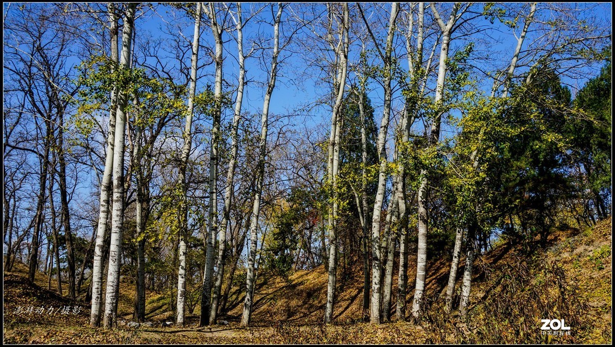 #ZOL月赛晒秋# 金色圆明园之浓墨重彩 二