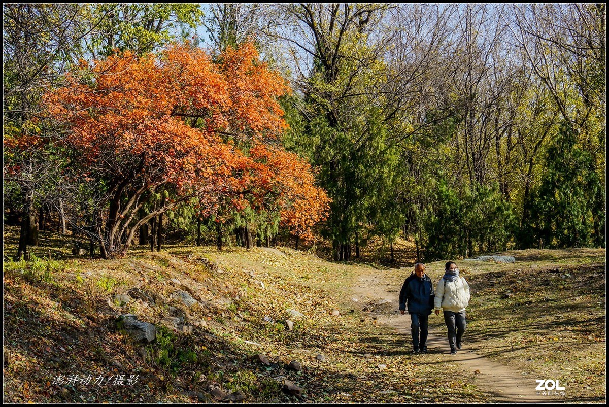 #ZOL月赛晒秋# 金色圆明园之浓墨重彩 二