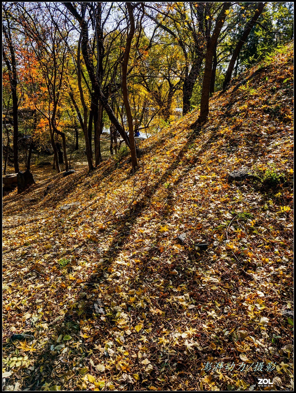 #ZOL月赛晒秋# 金色圆明园之浓墨重彩 二