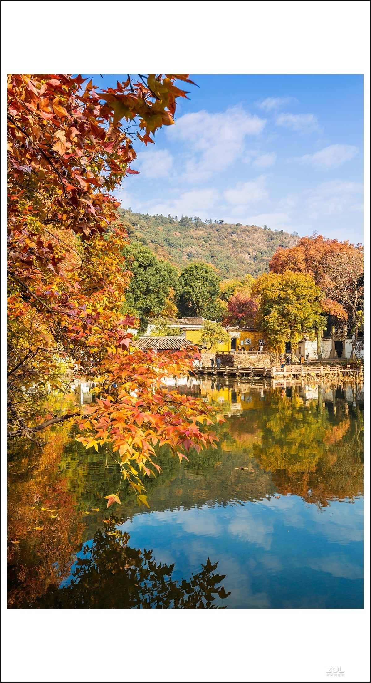 #ZOL月赛晒秋# 深秋天平山