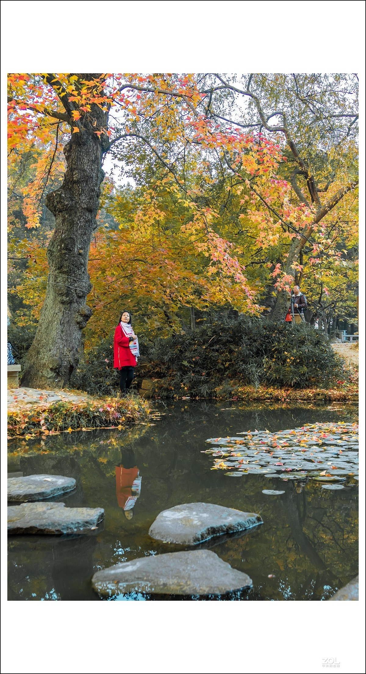 #ZOL月赛晒秋# 深秋天平山