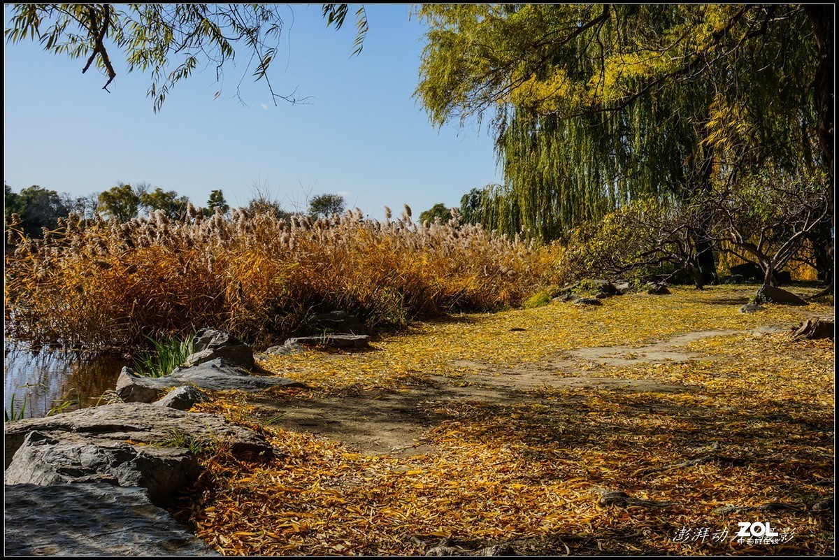 #ZOL月赛晒秋# 金色圆明园之浓墨重彩 三