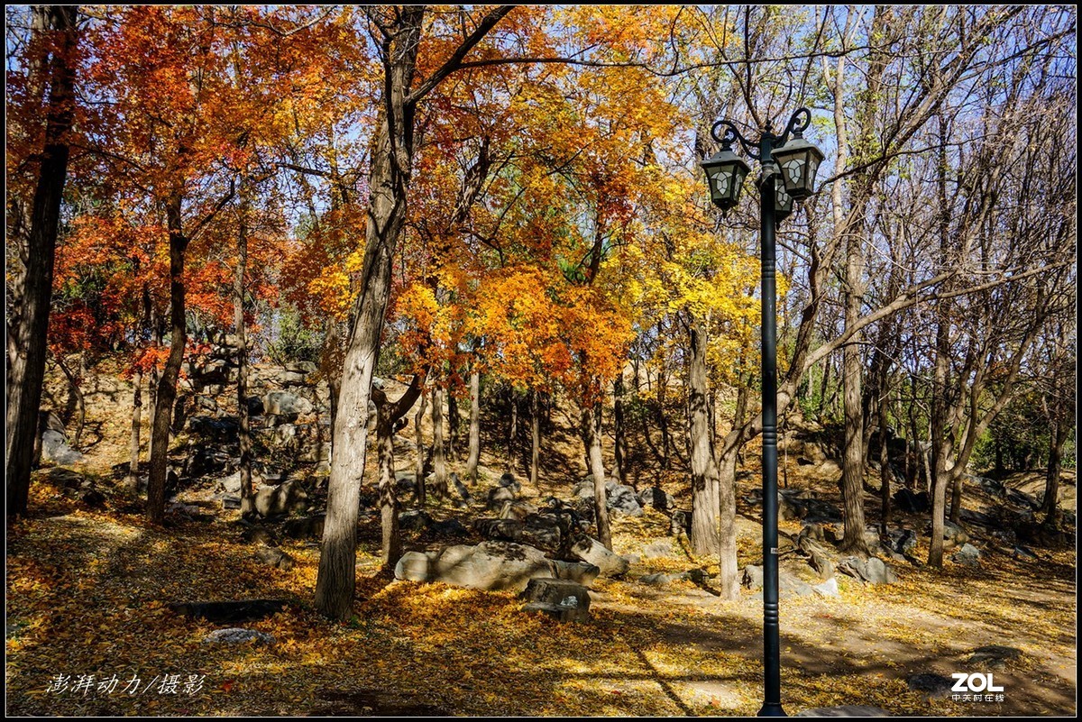 #ZOL月赛晒秋# 金色圆明园之浓墨重彩 三