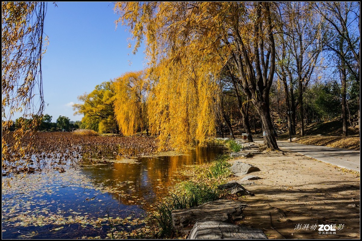 #ZOL月赛晒秋# 金色圆明园之浓墨重彩 三