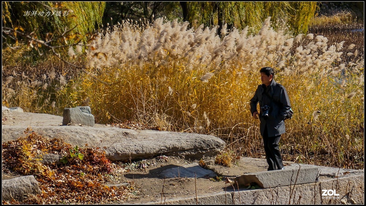 #ZOL月赛晒秋# 金色圆明园之浓墨重彩 三