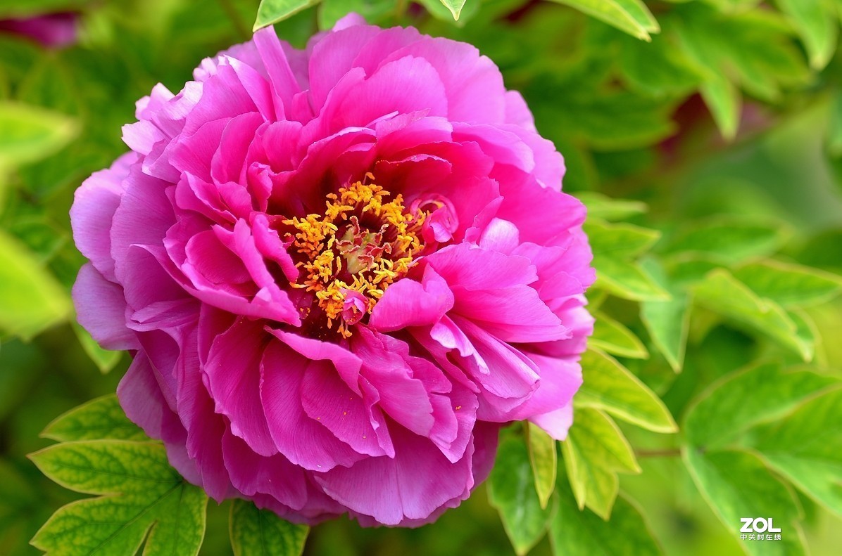 #版主坐堂#小五星空(中国)2019年十一月精品荟萃