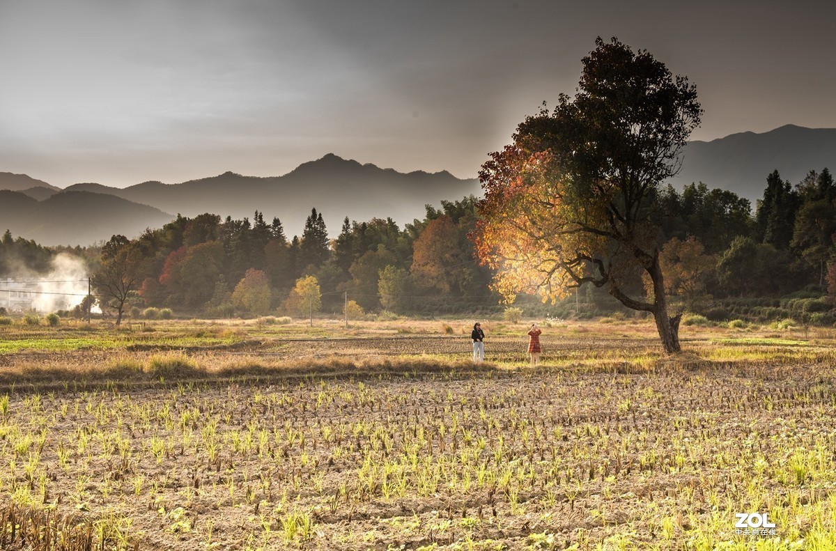 #版主坐堂#小五星空(中国)2019年十一月精品荟萃