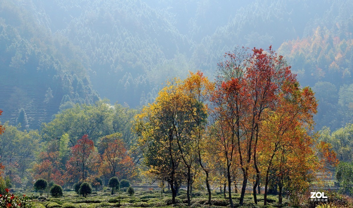 #版主坐堂#小五星空(中国)2019年十一月精品荟萃