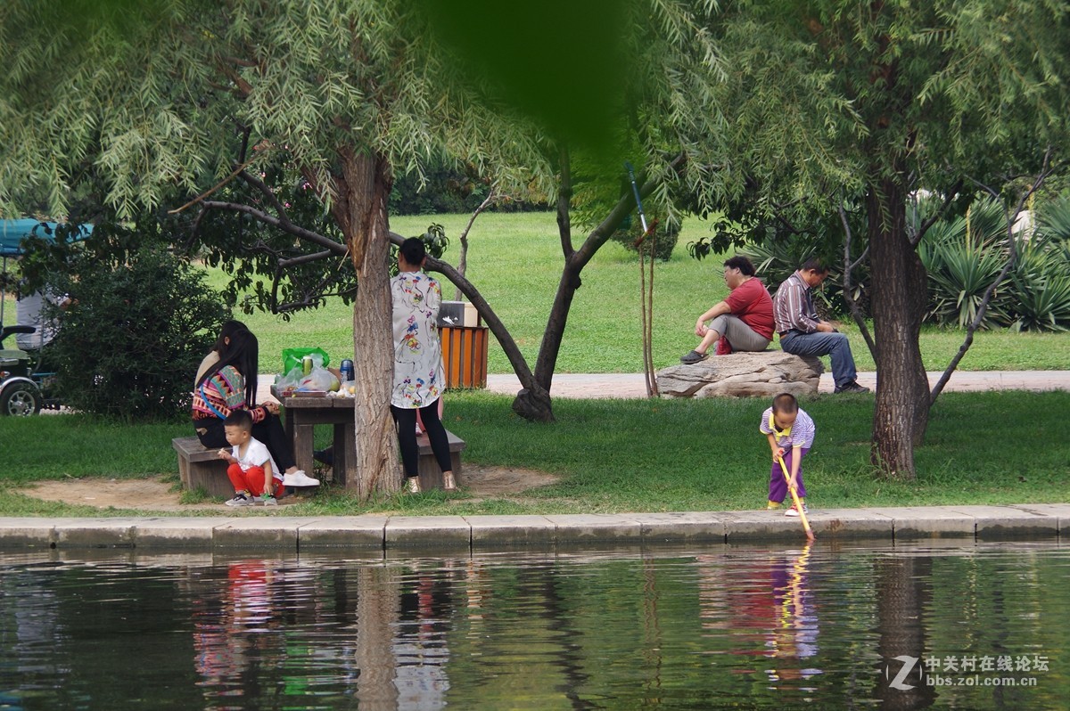 初秋【河北邯郸赵苑公园】