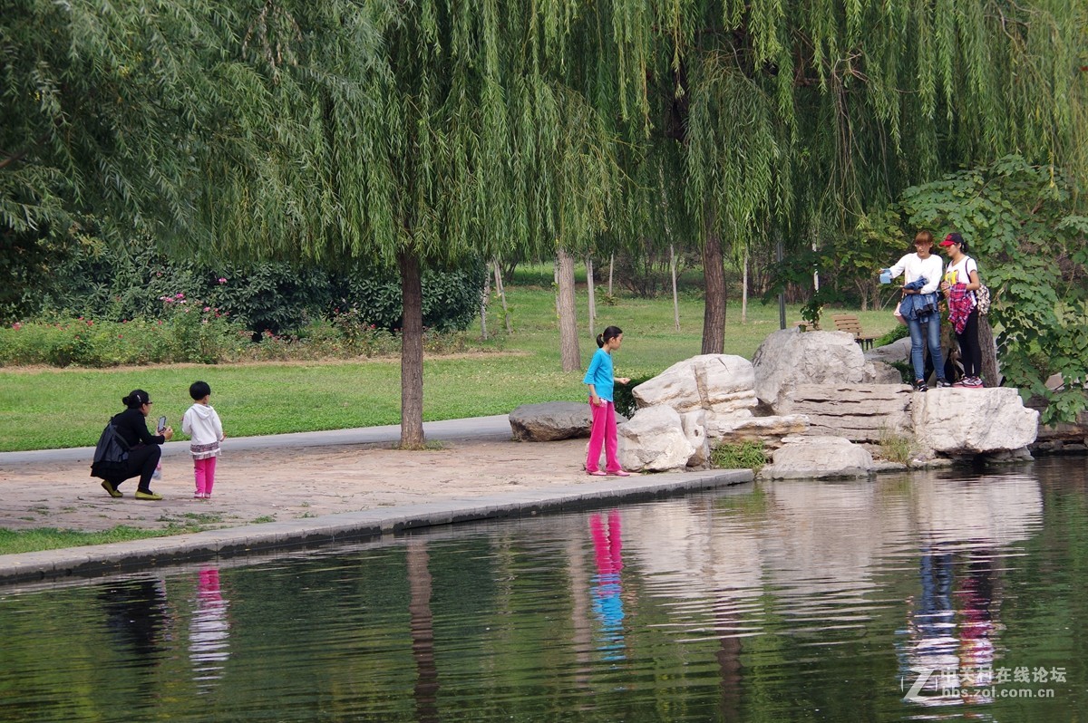 初秋【河北邯郸赵苑公园】