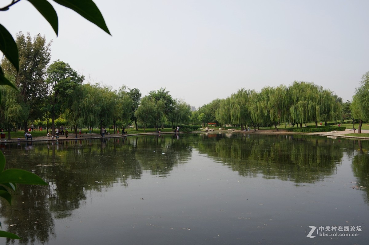 初秋【河北邯郸赵苑公园】