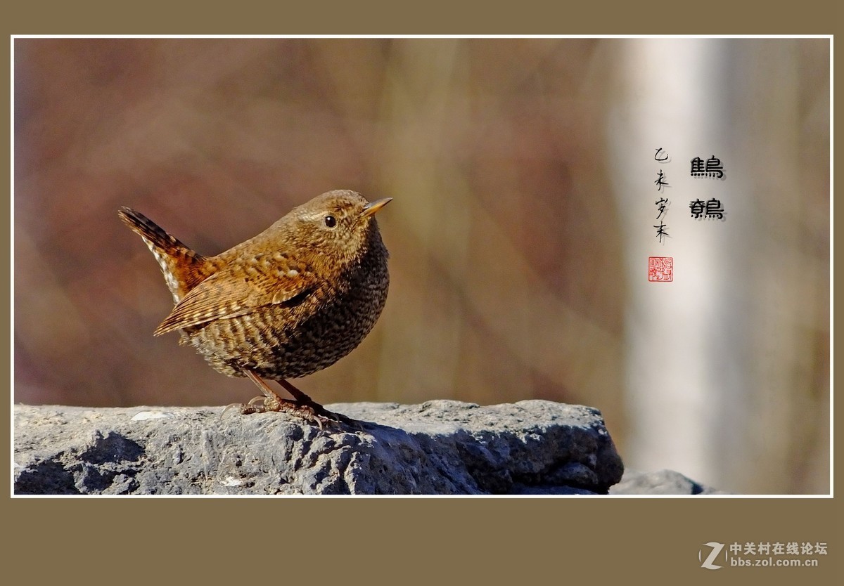 #版主坐堂#  2016年1月《佳能EF 16-35mm f/2.8L II USM镜头》星空(中国)优秀作品选编