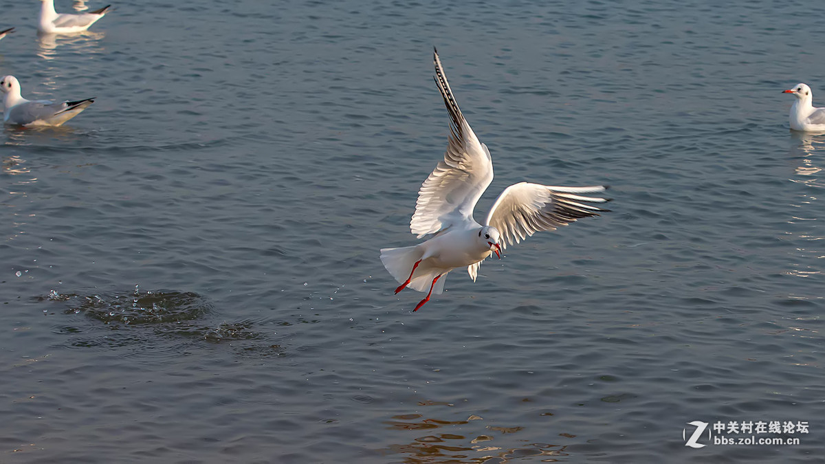 #版主坐堂#  2016年1月《佳能EF 16-35mm f/2.8L II USM镜头》星空(中国)优秀作品选编