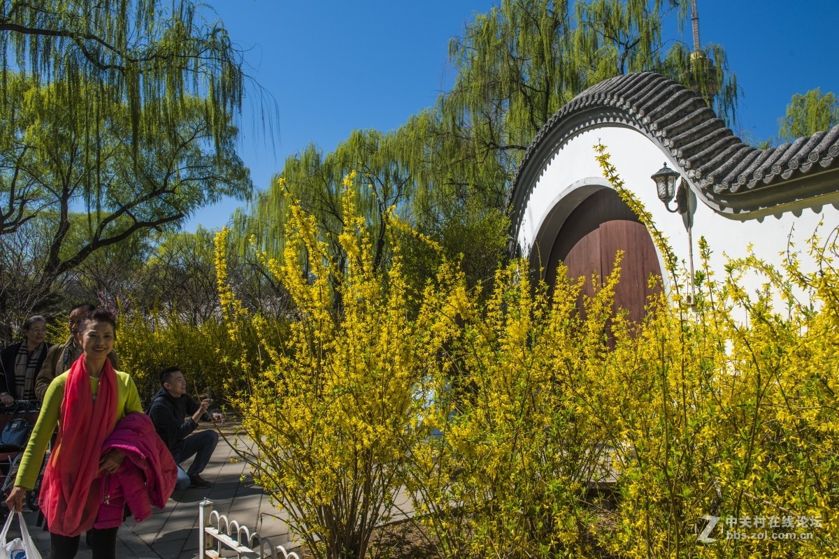 北京玉淵潭公園賞花