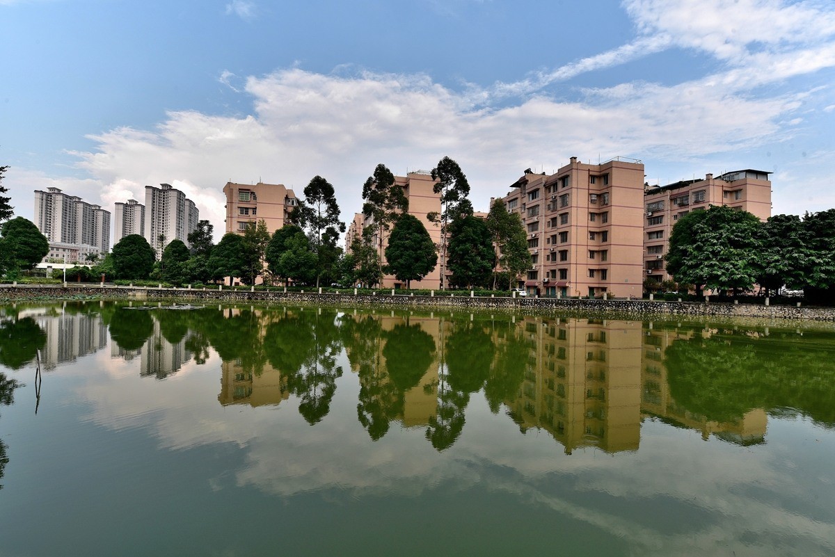 廣西大學校園湖塘景色