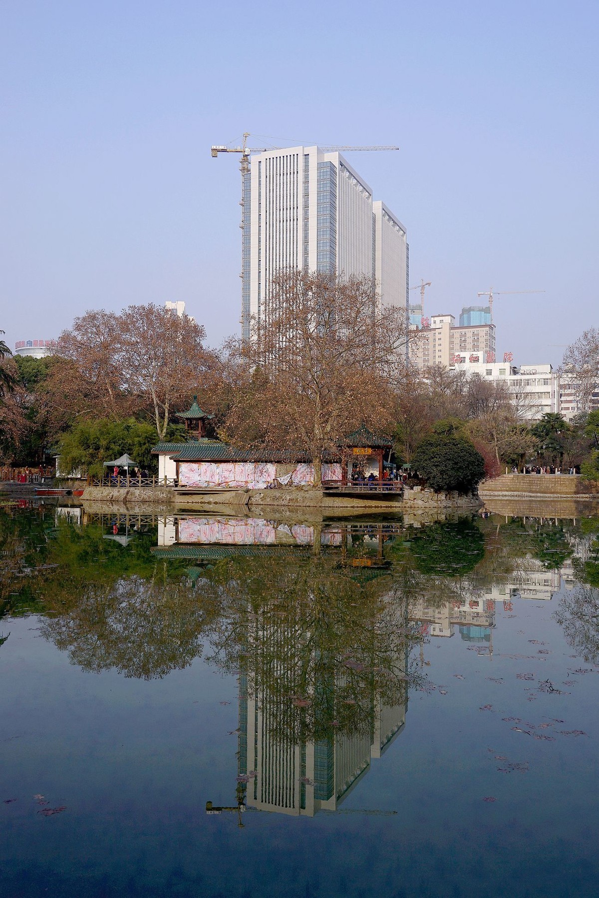 武漢印象冬日的中山公園