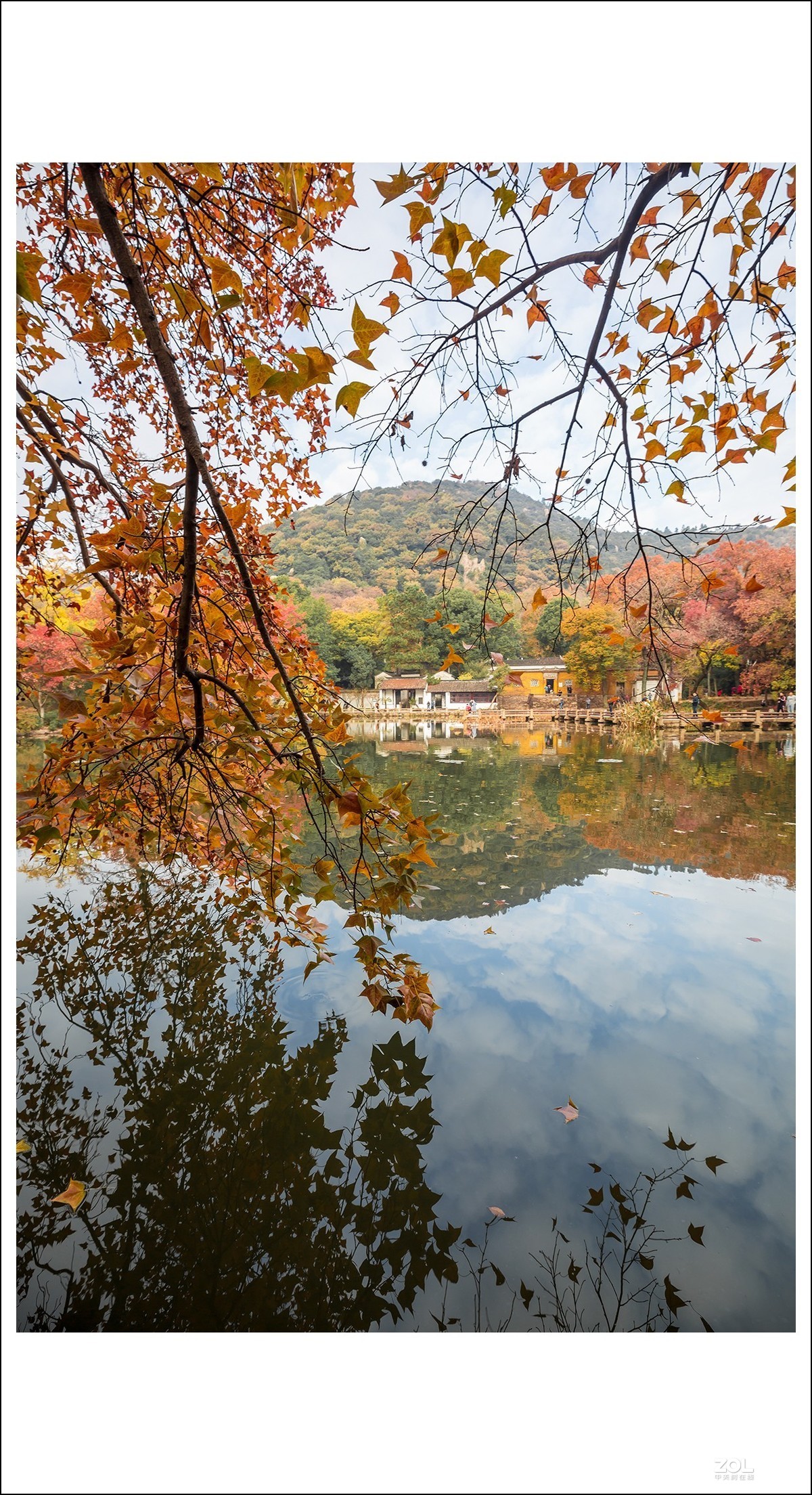 #ZOL月赛晒秋# 深秋天平山