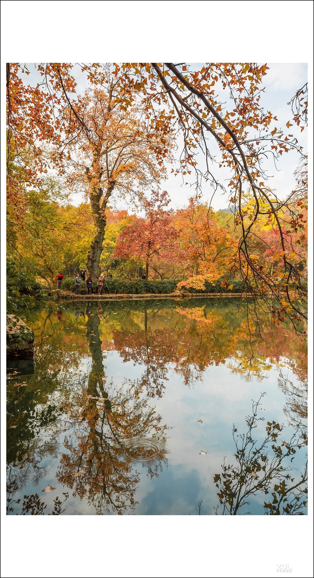 #ZOL月赛晒秋# 深秋天平山
