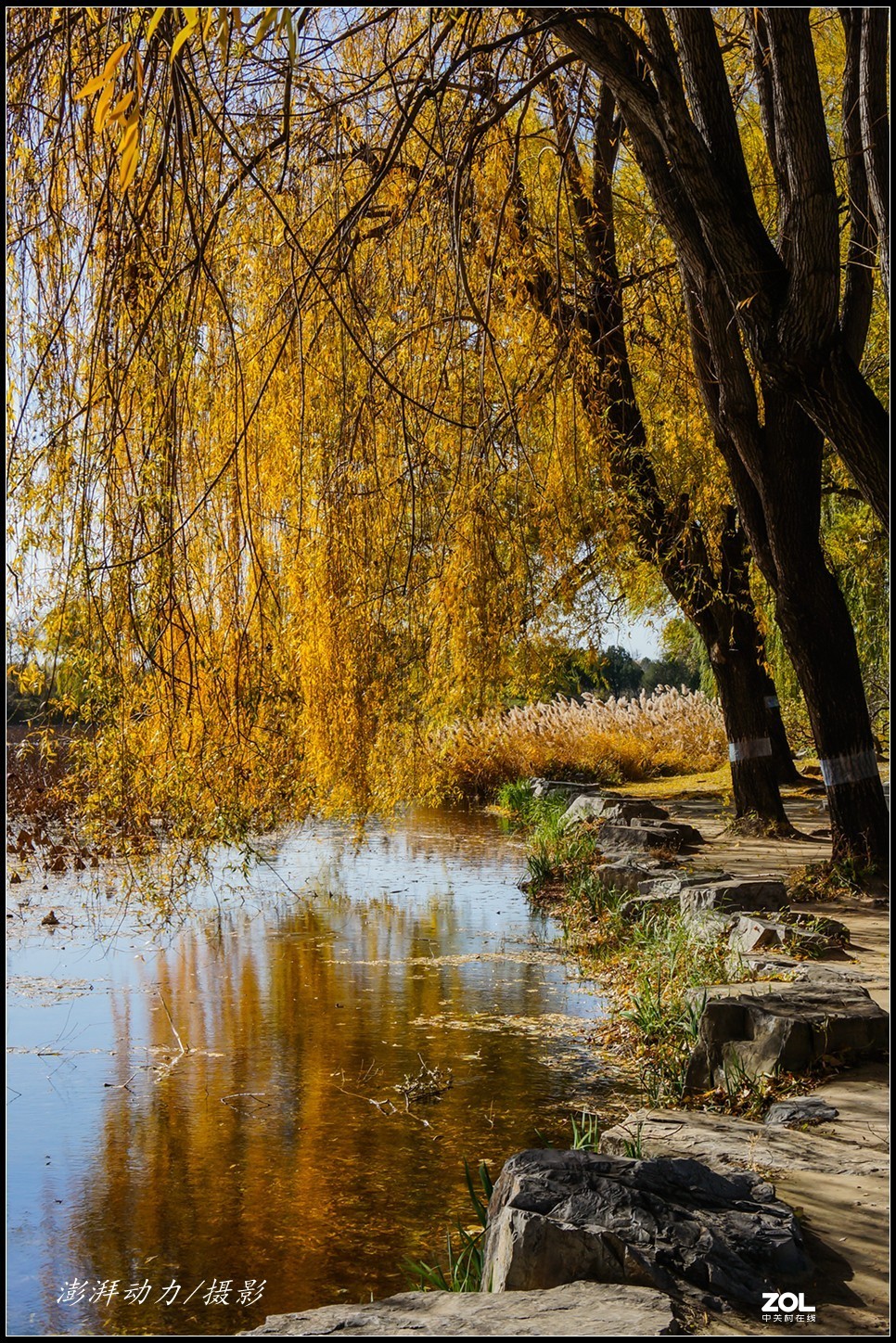 #ZOL月赛晒秋# 金色圆明园之浓墨重彩 三