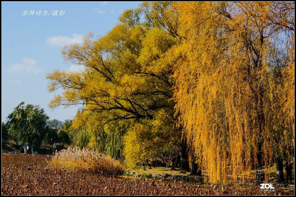 #ZOL月赛晒秋# 金色圆明园之浓墨重彩 三