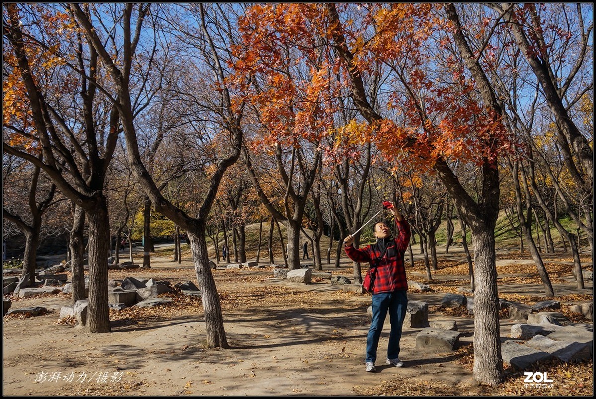 #ZOL月赛晒秋# 金色圆明园之浓墨重彩 三