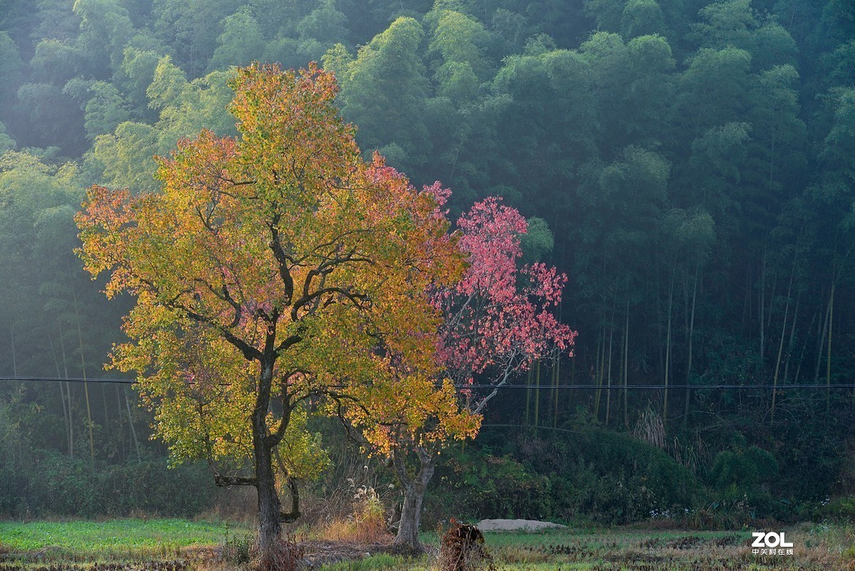 #版主坐堂#小五星空(中国)2019年十一月精品荟萃