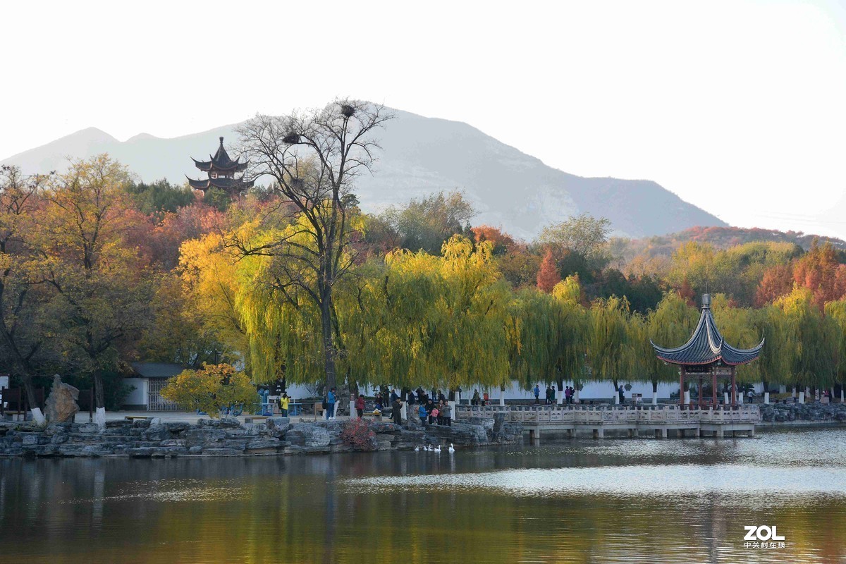 #版主坐堂#小五星空(中国)2019年十一月精品荟萃