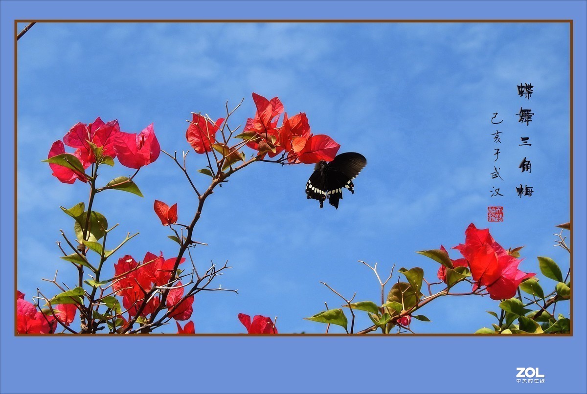 #版主坐堂#小五星空(中国)2019年十一月精品荟萃