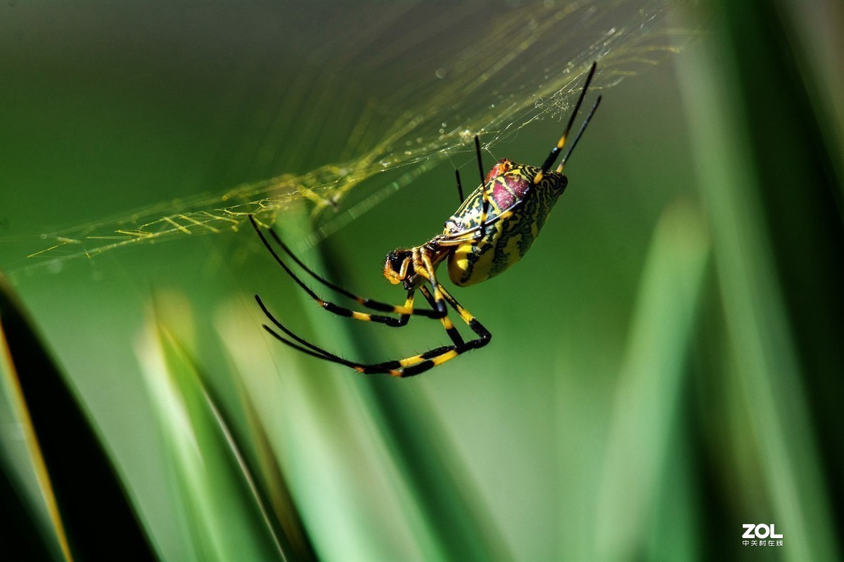 #版主坐堂#小五星空(中国)2019年十一月精品荟萃